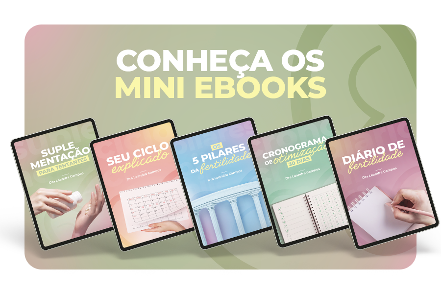 Mini E-books